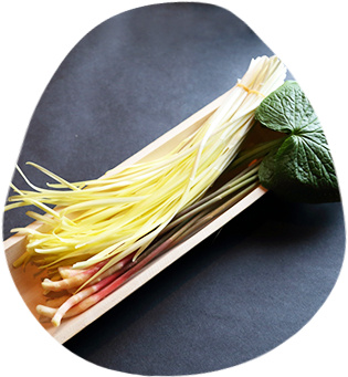 岡山市の和食、日本料理 あじ彩 真